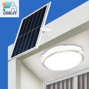 WhatsApp Image 2026-03-22 at 11.17.58 PM (1)