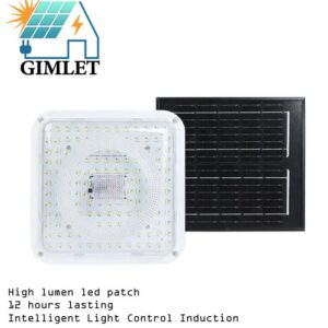 WhatsApp Image 2026-03-22 at 11.17.58 PM (2)